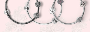 3 Pandora free silver bracelet options image